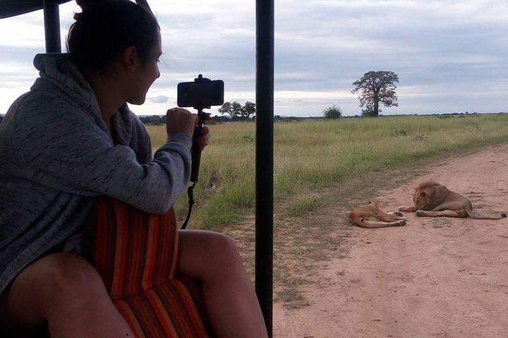 3 Days Serengeti & Ngorongoro Tour