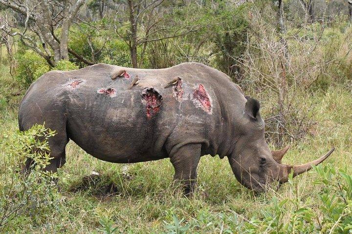 3 days Tarangire, Lake Manyara and Ngorongoro