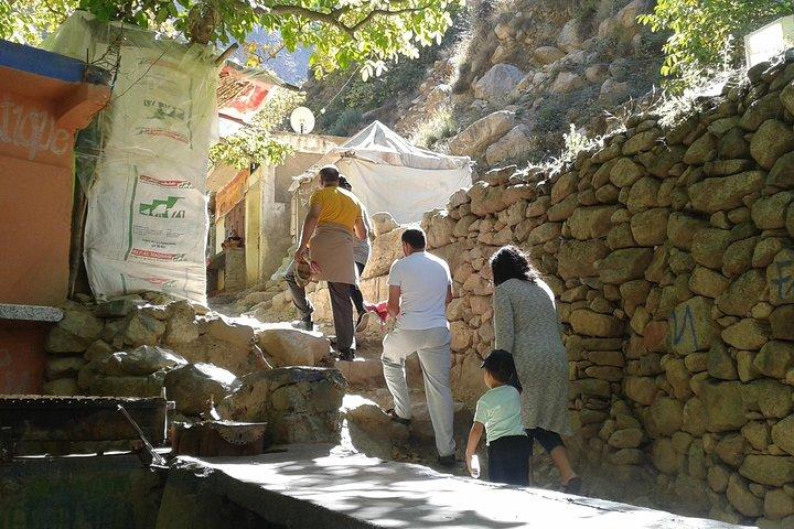 The Ourika Valley & the Atlas Mountains including lunch