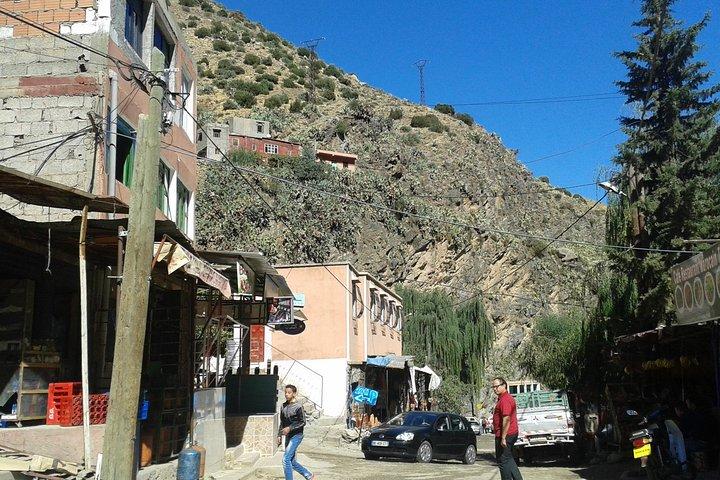 The Ourika Valley & the Atlas Mountains including lunch