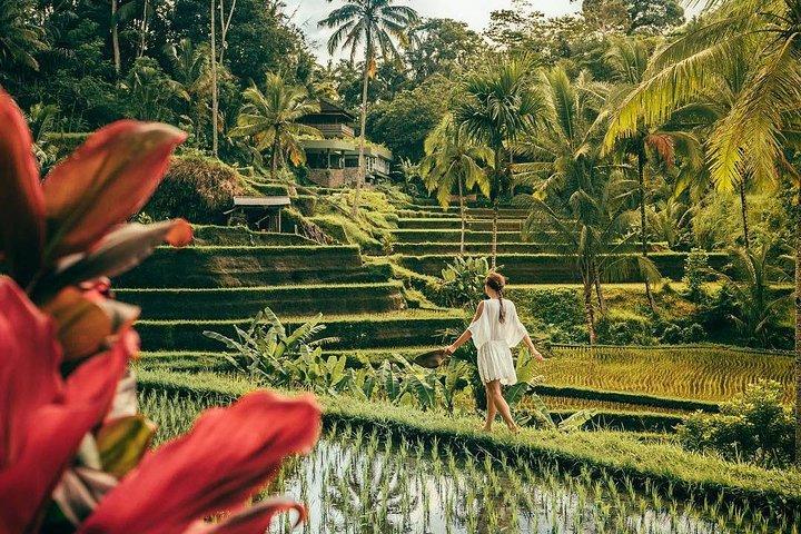 Bali BEST Things to Do Private Full-day Tour from Your Hotel