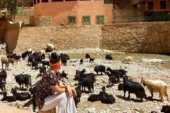 Day Trip with a Group to Ouarzazate and Ait Ben Haddou