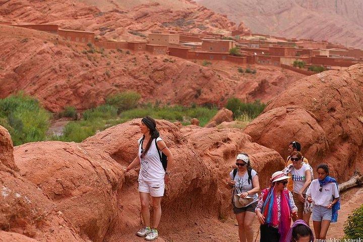 Day Trip with a Group to Ouarzazate and Ait Ben Haddou
