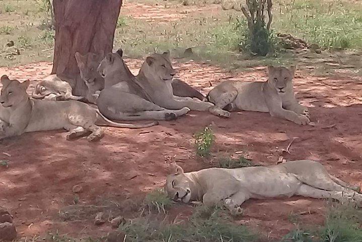 2 Days Tsavo East and West