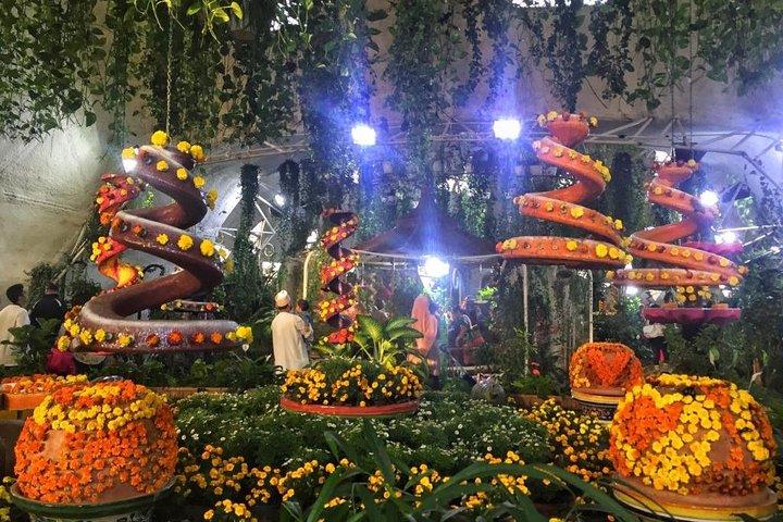 Private Dubai Miracle & Butterfly Garden Tour with transfers
