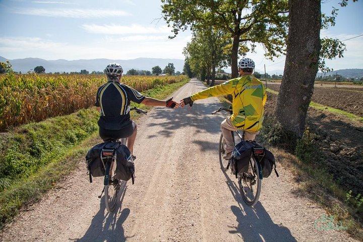 Spello E-Bike & Wine Tour with Scenic Winery Lunch