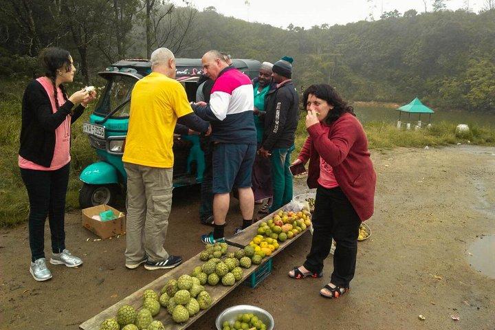 Culture and Culinary Expedition (7 Days)
