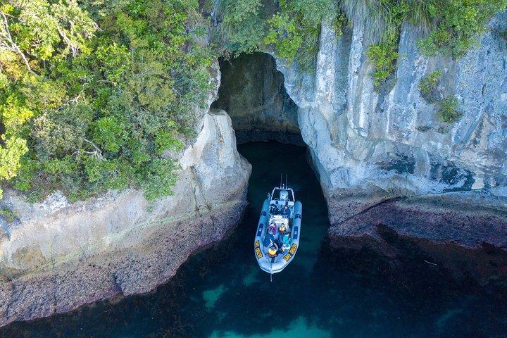 Whitianga: Cathedral Cove Cruise, Caves & Snorkelling