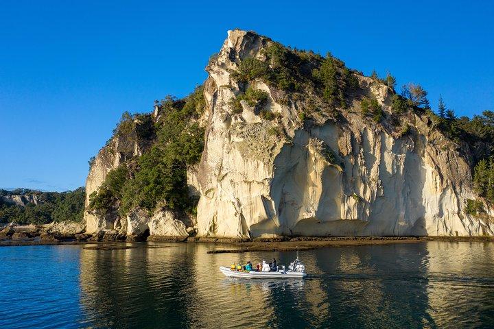 Whitianga: Cathedral Cove Cruise, Caves & Snorkelling