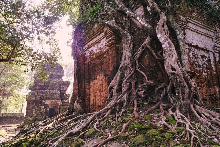 Private One Day Tour to Pyramid Koh Ker & Preah Vihear Temple