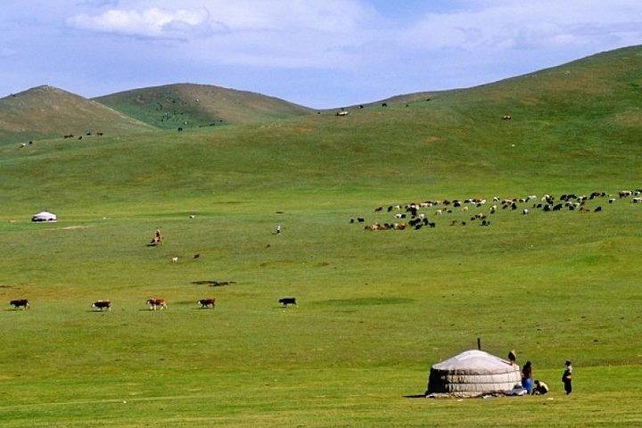 7 days Central Mongolia and Great Gobi