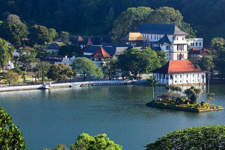 Kandy Sightseeing Day Tour from Colombo (All Inclusive)