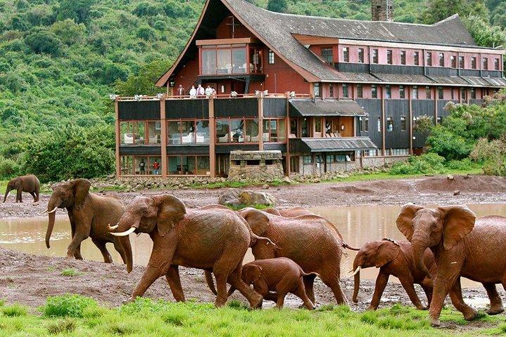 4 Days Aberdares National park & Samburu National Reserve Wildlife Safari