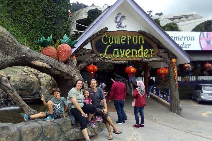 Cameron Highlands Sunrise Discovery