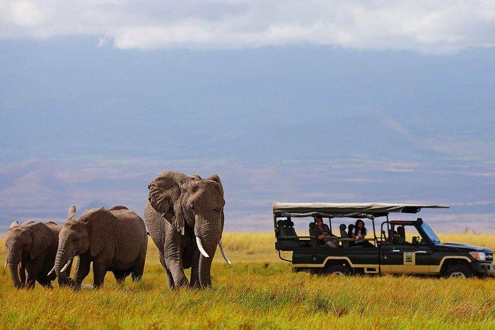 7 Days Samburu, Lake Naivasha & Masai Mara National Reserve