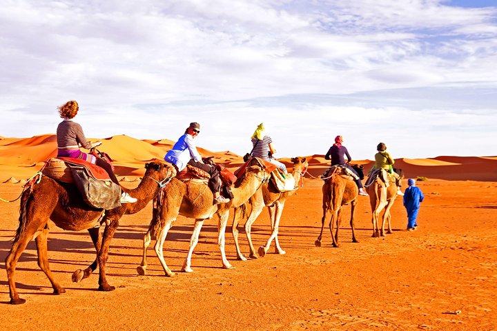 Red Dunes Desert Safari, Sand Board, Camel Ride with BBQ Dinner