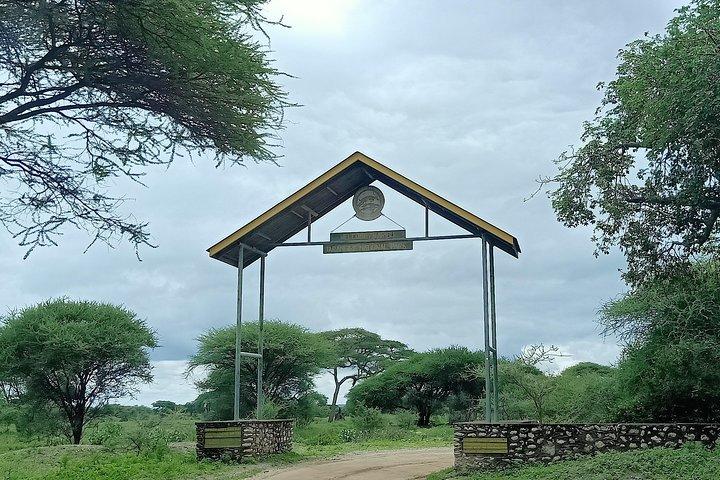 1-Day Tarangire National Park Tour