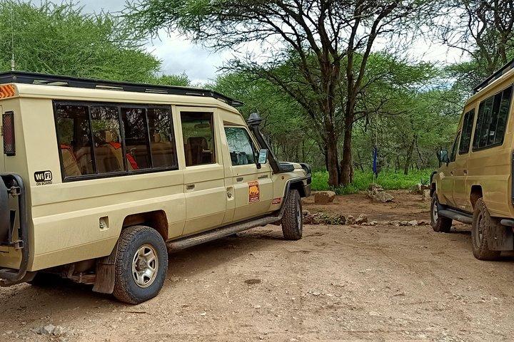 1-Day Tarangire National Park Tour