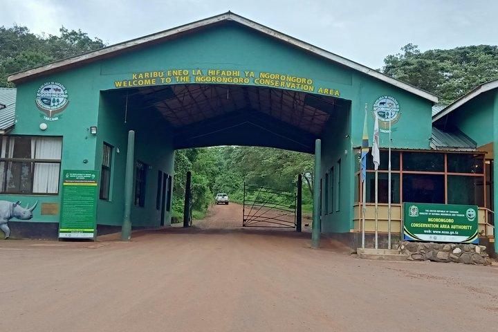 Ngorongoro Day Trip