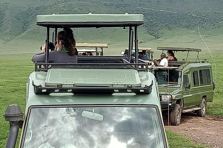Ngorongoro Day Trip