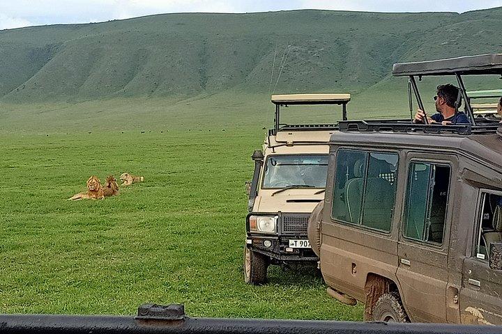 Ngorongoro Day Trip