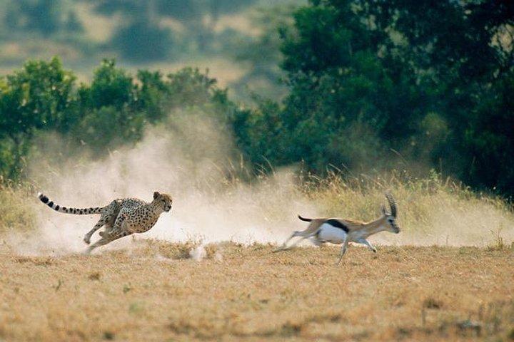 2 days 1 night Amboseli National Park Safari