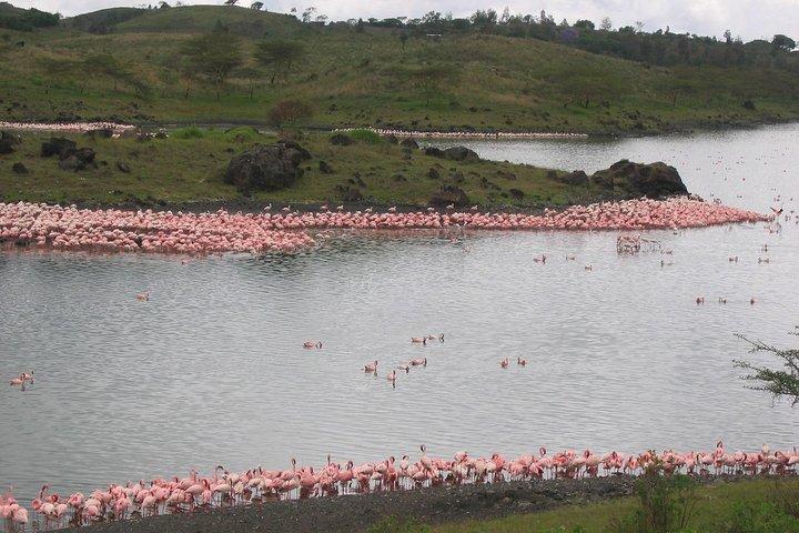 Arusha National Park Day Tour with Walking Safari & Canoeing