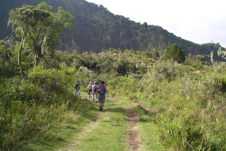 Arusha National Park Day Tour with Walking Safari & Canoeing