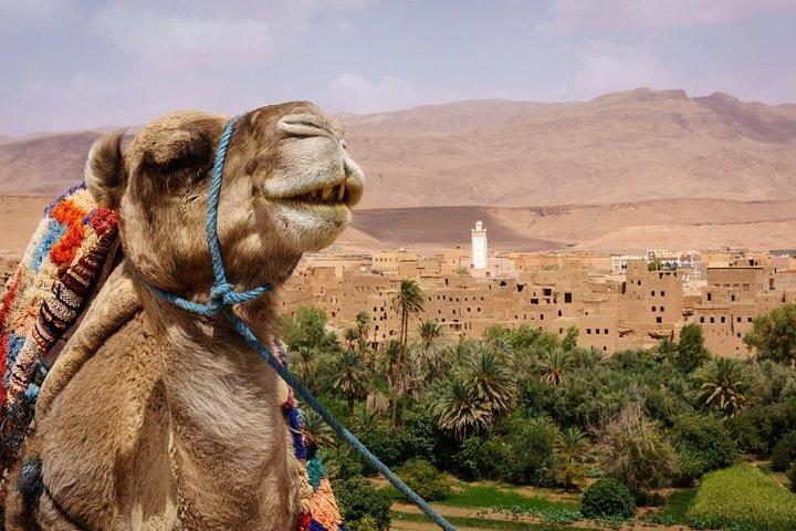 Ait ben haddou and Ouarzazate day trip from Marrakech
