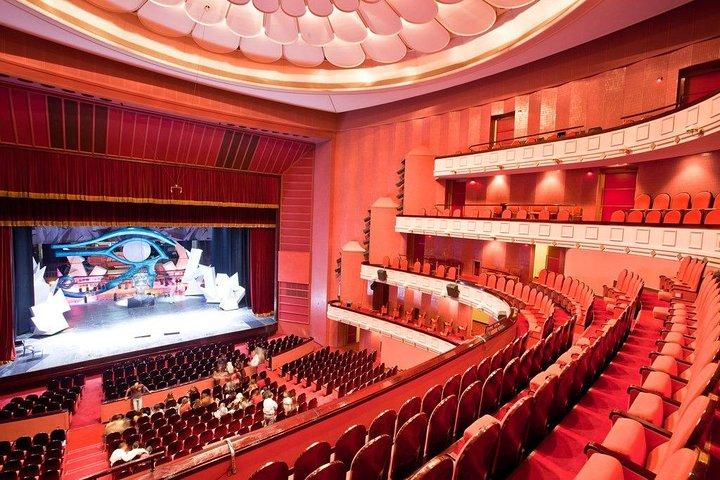 Private tour to The Opera House and tour to the old famous arts