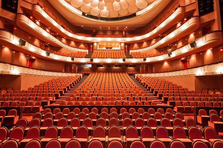 Private tour to The Opera House and tour to the old famous arts