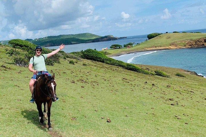 Private Beach Horseback Ride with Sandy Hoofs St. Lucia
