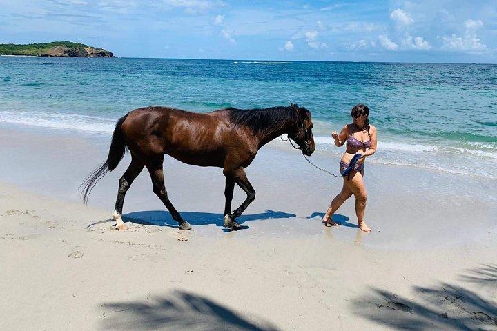 Private Advanced Horseback Beach Ride with Sandy Hoofs St. Lucia