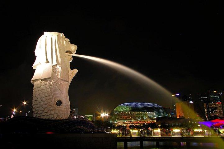 Private Singapore Customized Tour With Driver in small group