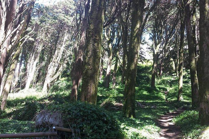 Private Sintra Day Trip from Lisbon with Wine Tasting and Monserrate Palace