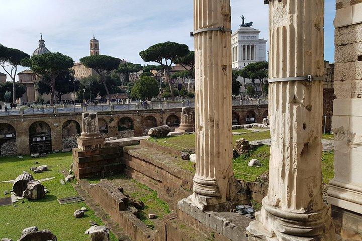 Private Rome City Tour by Luxury Vehicle: Professional Chauffeur