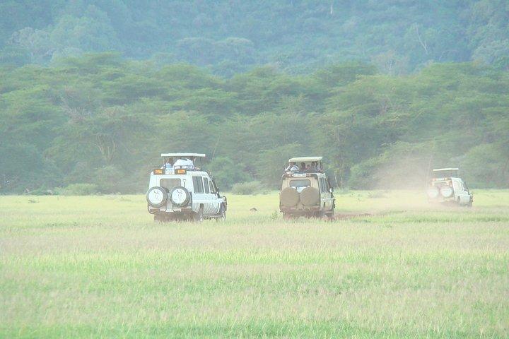 1-Day Lake Manyara Tour from Arusha