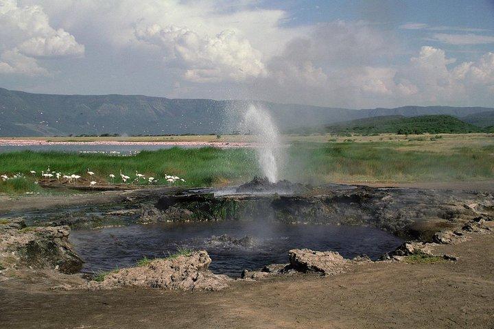 1-Day Lake Manyara Tour from Arusha