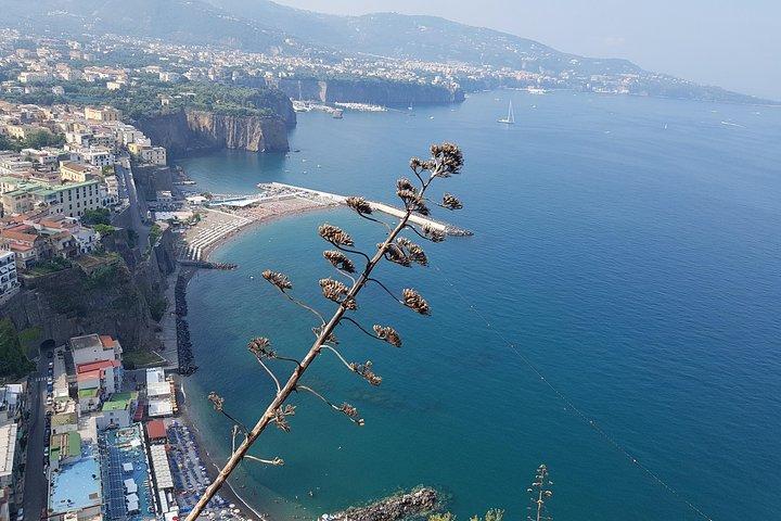 Private Day Trip from Rome to Positano, Amalfi & Ravello Luxury