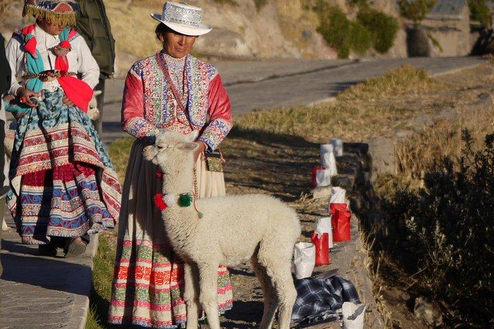 Private Colca Full-Day Tour from Arequipa
