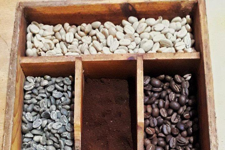 MINCA TOUR - Explore waterfalls and discover the origin of coffee and cocoa
