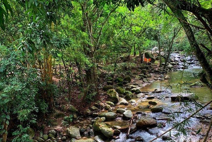 MINCA TOUR - Explore waterfalls and discover the origin of coffee and cocoa