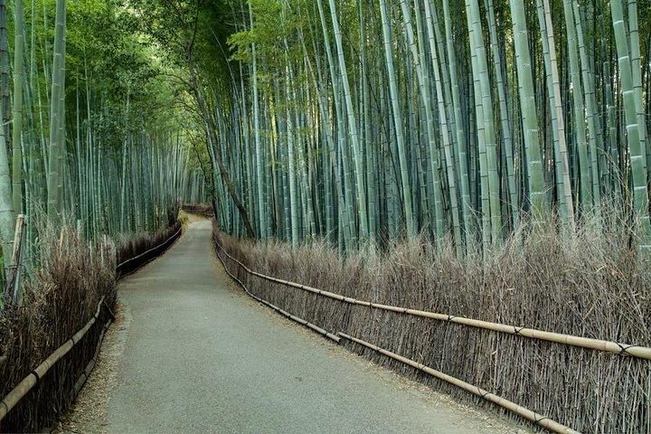 Kyoto Tour by Car from Kyoto Osaka Kobe