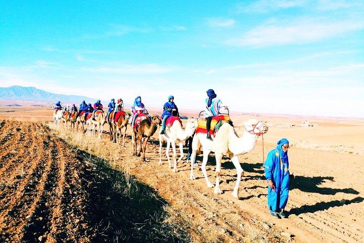 5 Valleys Atlas mountains day trip from Marrakech with camel ride