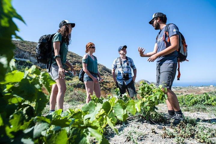 Santorini : Cooking Class & Easy Hike