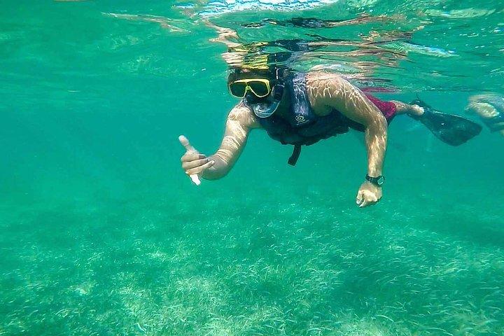 Underwater Snorkel Experience day in Cozumel with Transportation from Cancún