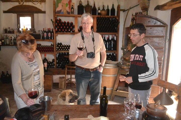 Small-Group Brunello Wine Tour of Montalcino from Florence