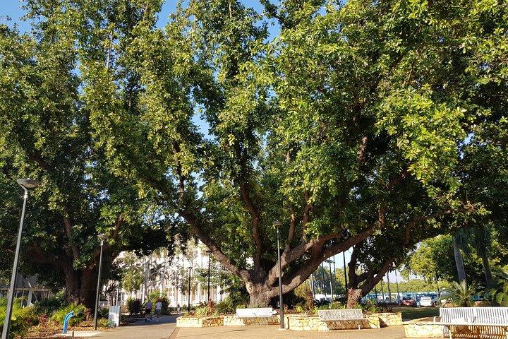 Darwin Heritage Walk