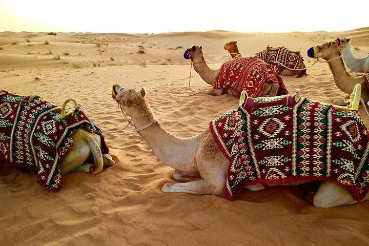 Abu Dhabi 4x4 Desert Safari BBQ Dinner , Camel Ride , Belly Dance