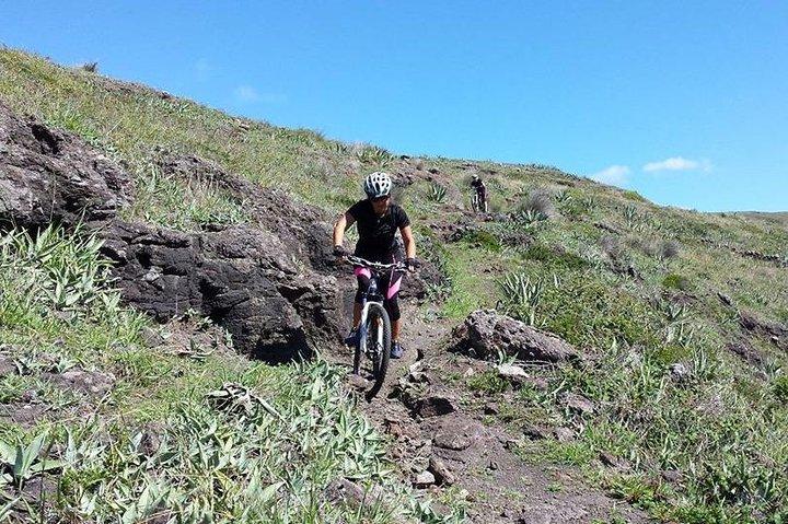 Bike Rental